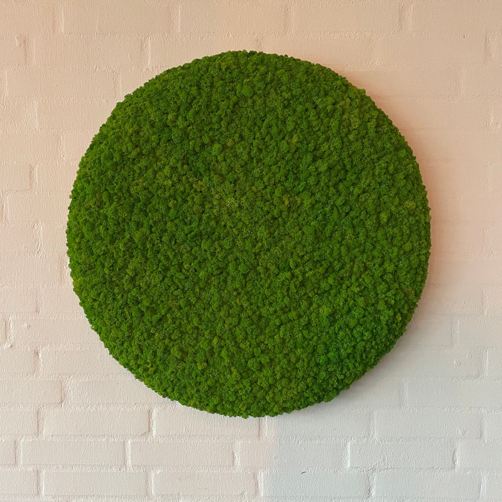 OEKOBOARD Premium - Lys grøn mos cirkel