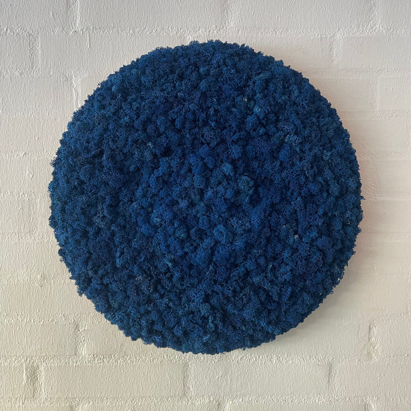 OEKOBAORD - Blå mos cirkel, 50 cm. 