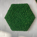 OEKOBOARD Premium - Sekskant med mos, valgfri farve