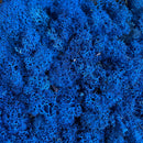 Tæt, blå rensdyrmos med forgrenede strukturer fylder rammen med naturlig form og tekstur.