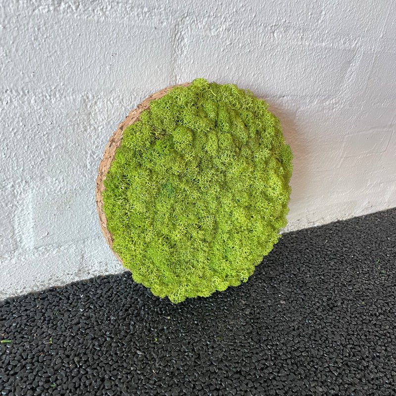 Lysgrøn mos cirkel 20 cm. 2. sortering, udgået farve