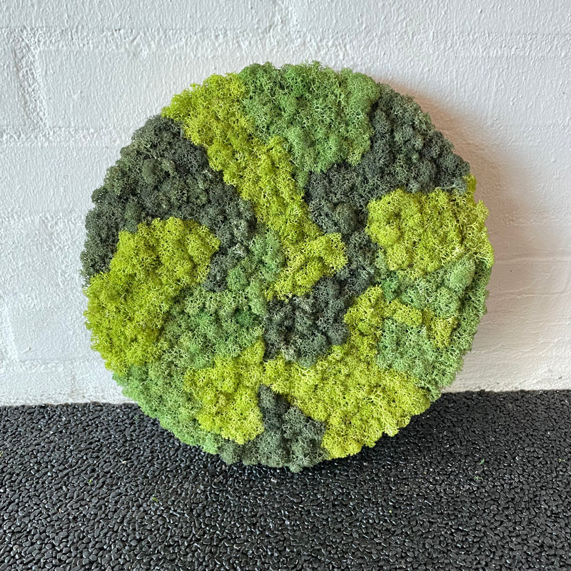 Blandet mos cirkel med 3 farver, 30 cm. 2. sortering