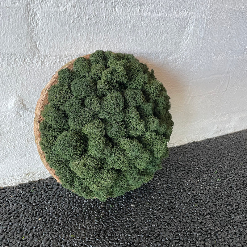 Mørkegrøn mos cirkel 20 cm. 2. sortering, udgået farve