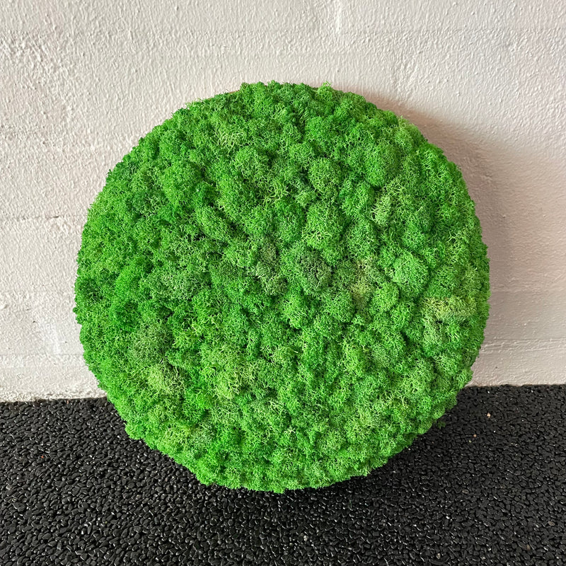 Græsgrøn mos cirkel 30 cm. 2. sortering, udgået farve