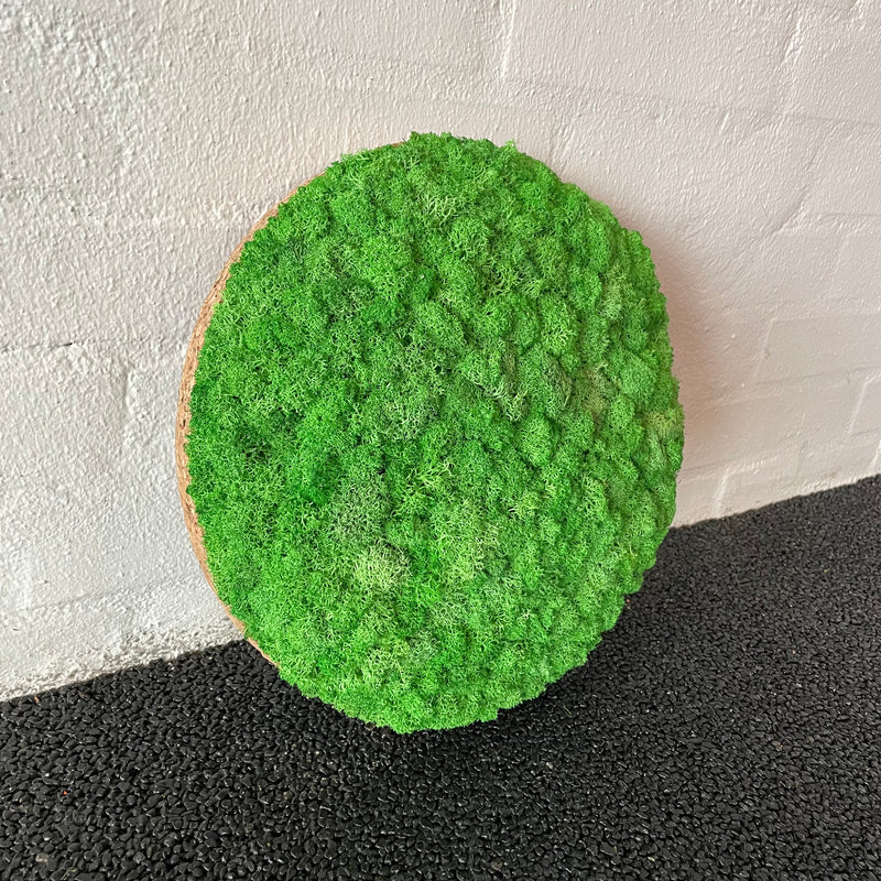 Græsgrøn mos cirkel 30 cm. 2. sortering, udgået farve
