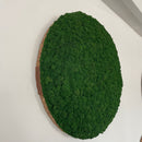 OEKOBOARD Premium - Mørk mos cirkel