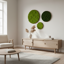 OEKOBOARD Basic - Mos cirkel mix - 30, 50, 75 cm.