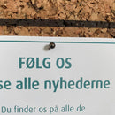 Nåle, sort, små