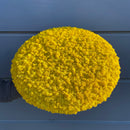 OEKOBOARD Premium - Halo mos cirkel