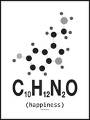 Molekyle Glæde sort/hvid 50x70