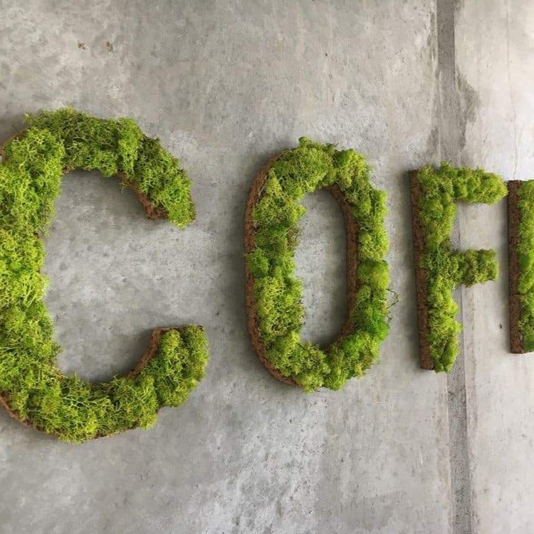OEKOBOARD - Bogstaver med lysgrøn mos - Coffee