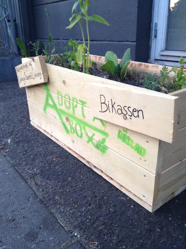 Mor til en kasse - Liseborg.dk