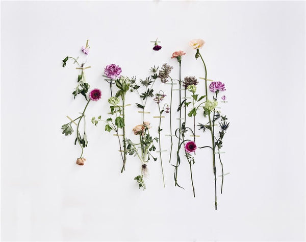 Nye designs fra Bolia