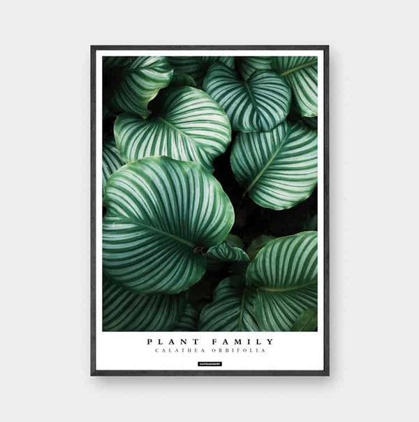 Plakat Tirsdag: KASPERBENJAMIN planteplakater
