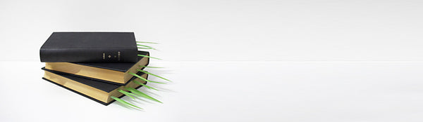 Grassy Page Marker