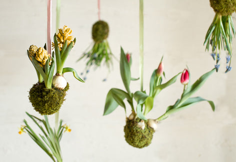DIY Fredag: Pyntede blomsterløg