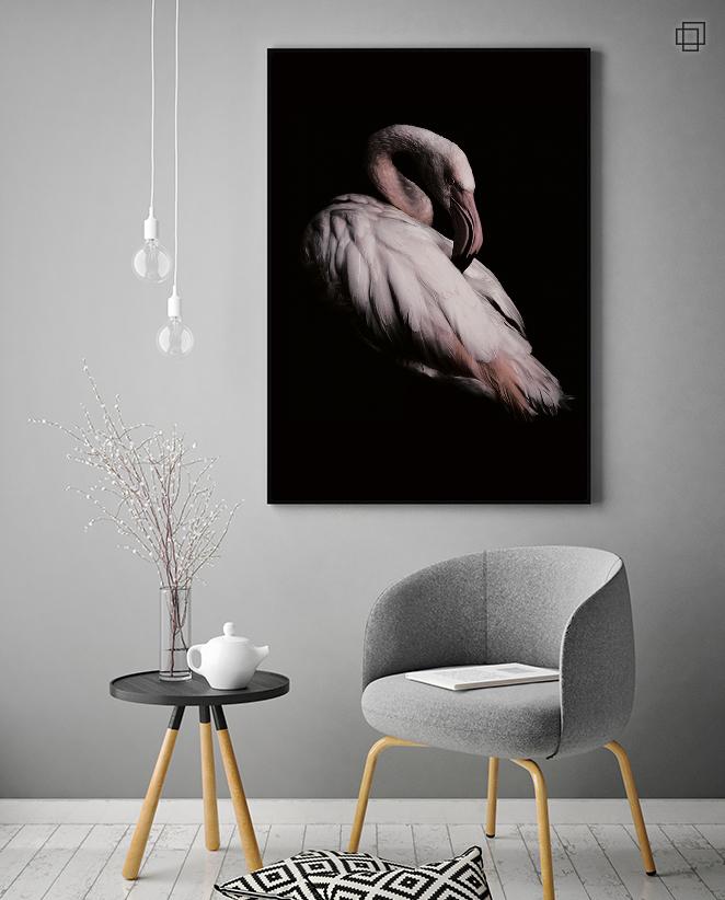Plakat Tirsdag: Fotoplakater med flamingoer