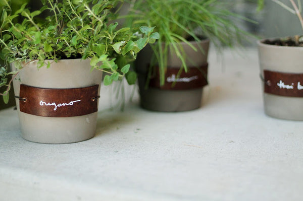 DIY Fredag: Læder labels til urtepotter