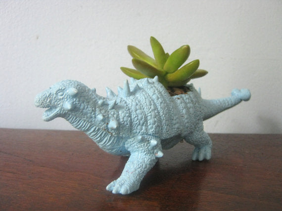 Dinoskjuler