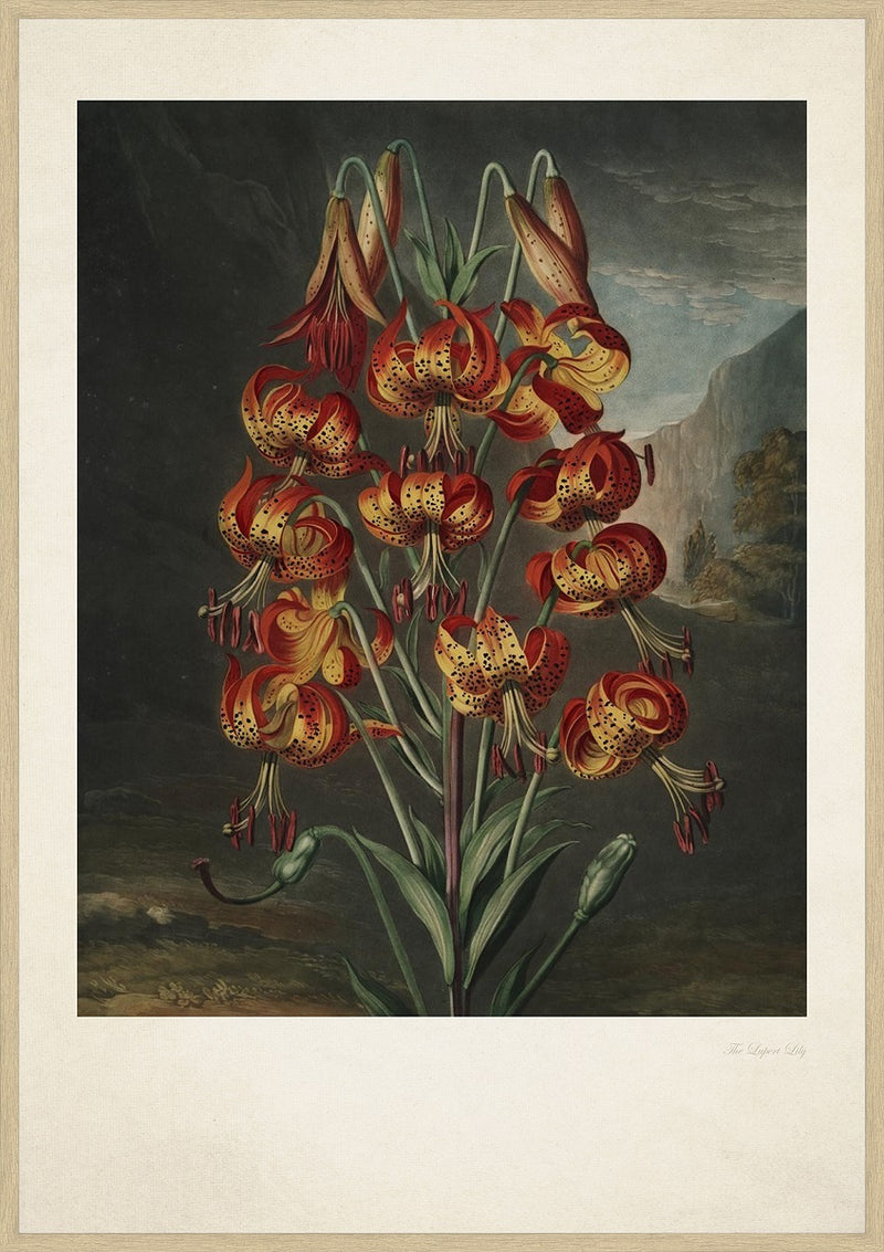 Plakat Tirsdag: Vintage blomsterplakater