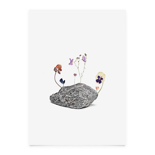 Martin Moore Rocking It! plakat med sten og blomster