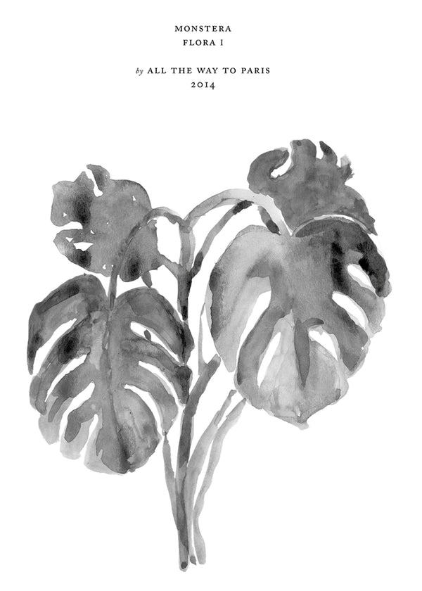 Grå palme