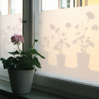 Blomster på ruden