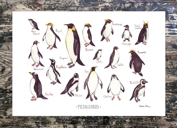 Plakat Tirsdag: Kate Dolamore Art