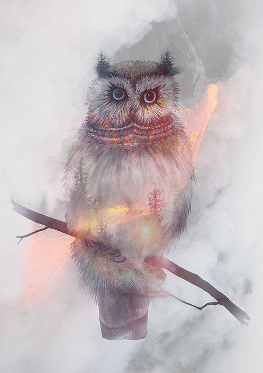 Art By Austa Lea - plakater med islandsk inspiration