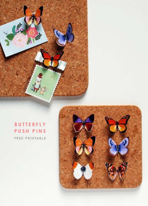 DIY Fredag: Sommerfugle på nåle