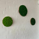 OEKOBOARD Basic - Små mos cirkler