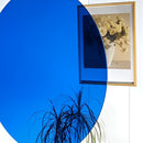 Rund, oceanblå refleksflade overlapper et indrammet billede og reflekterer en plante.