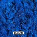 OEKOBOARD - Bogstav med reindeer mos (1 bogstav)