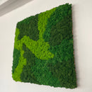 OEKOBOARD Basic - Blandet mos firkant - 3 farver