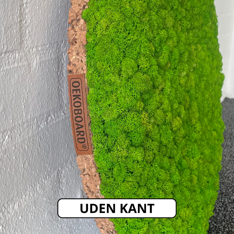 OEKOBOARD Basic - Mos cirkel mix - 30, 50, 75 cm.