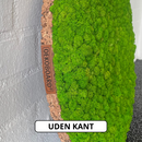 OEKOBOARD Basic - Blandet mos cirkel