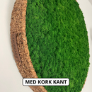 OEKOBOARD Premium - Skovgrøn mos cirkel