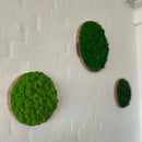 OEKOBOARD Basic - Små mos cirkler