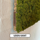 OEKOBOARD Premium - Mos firkant