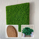 Firkantet mosflise med grøn tekstur og korkbagside. Inkluderer løs mos og korkbase.