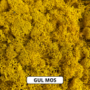 OEKOBOARD - Bogstav med reindeer mos (1 bogstav)