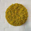 OEKOBOARD Premium - Gul mos cirkel