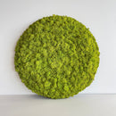 Cirkulært akustikpanel dækket med tæt, grøn mos.