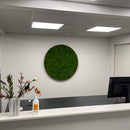 OEKOBOARD - Pudemos cirkel 100 cm.