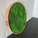 OEKOBOARD Premium - Blandet mos cirkel med kant