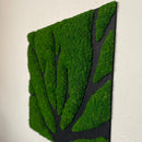 Akustikpanel med mostræ, 60x60 cm.