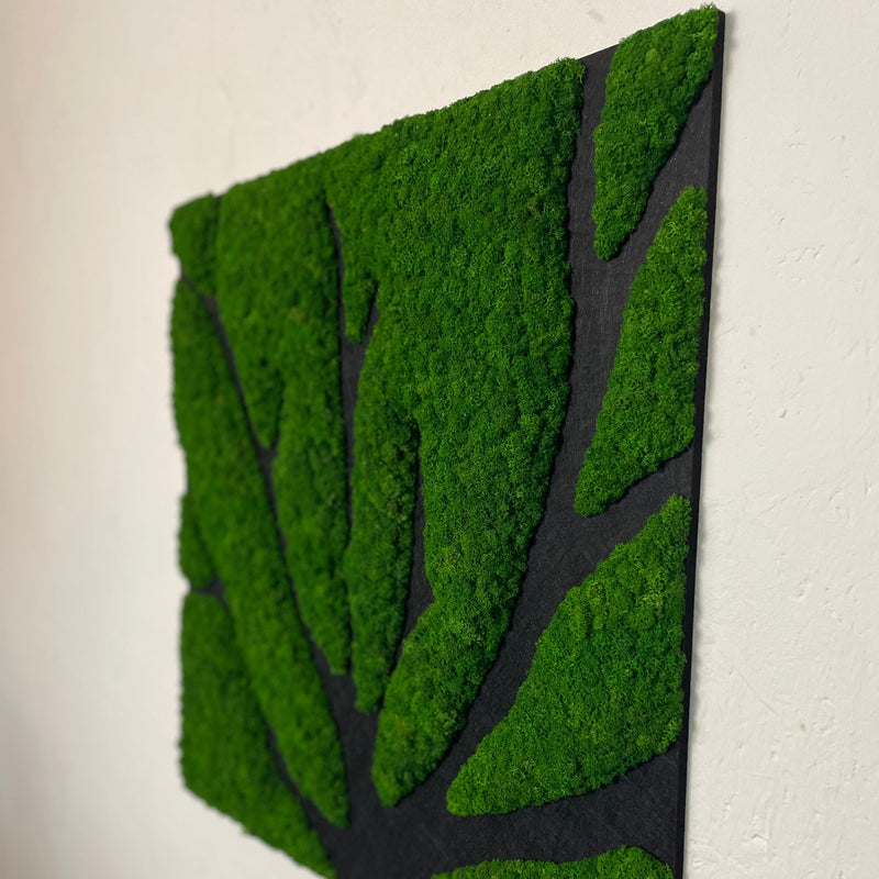 Akustikpanel med mostræ, 60x60 cm.