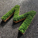 OEKOBOARD - Bogstav med reindeer mos (1 bogstav)