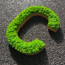 OEKOBOARD - Bogstav med reindeer mos (1 bogstav)