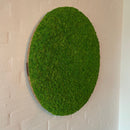 OEKOBOARD - Lys mos cirkel, 75 cm.